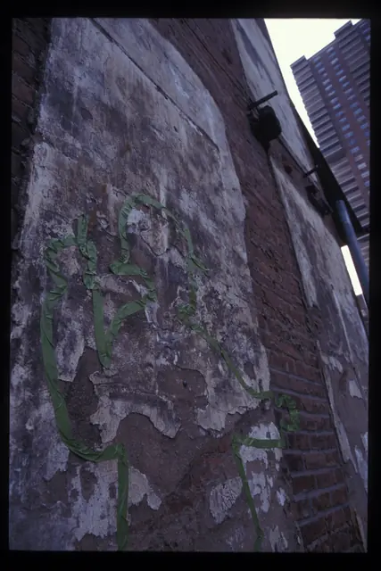 Photograph 5 of 5 of the drawing dedicated to Lincoln Quappe.