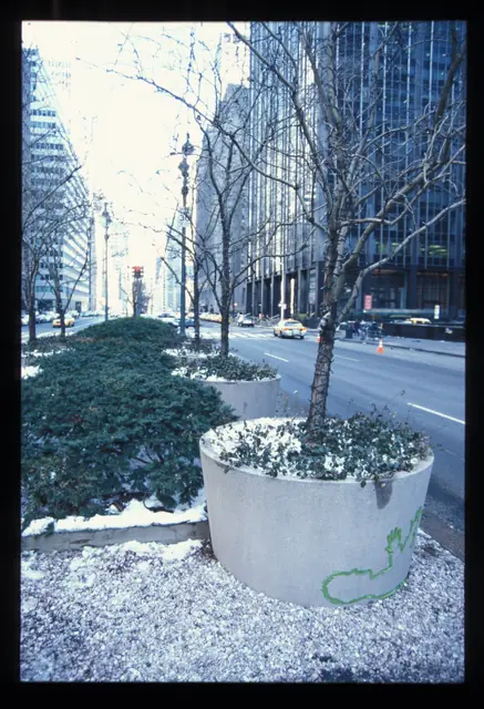 Photograph 4 of 7 of the drawing dedicated to David Dimeglio.