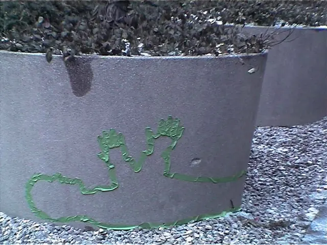 Photograph 5 of 7 of the drawing dedicated to David Dimeglio.