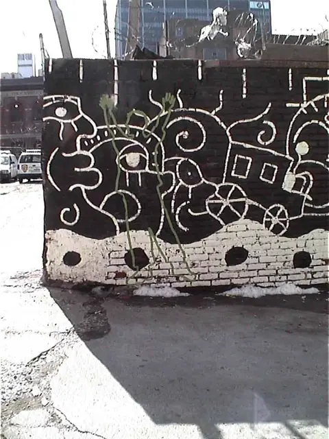 Photograph 6 of 8 of the drawing dedicated to Peter Hashem.