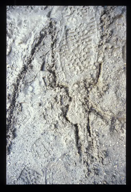 Photograph 2 of 12 of the drawing dedicated to John Ginley.