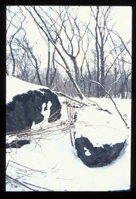 Photograph 4 of 8 of the drawing dedicated to Harvey Harrell.