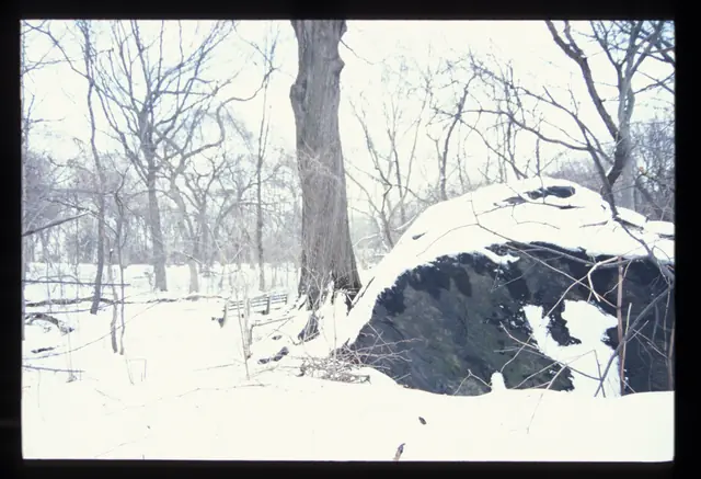 Photograph 3 of 8 of the drawing dedicated to Harvey Harrell.