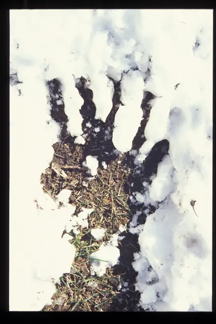 Photograph 7 of 7 of the drawing dedicated to John Heffernan.