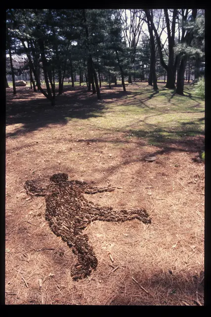 Photograph 5 of 8 of the drawing dedicated to Jessica Leigh Sachs.
