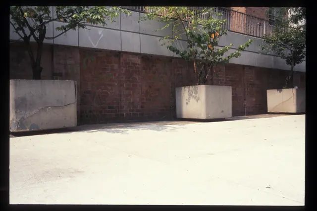Photograph 2 of 11 of the drawing dedicated to Mary Barbara Trentini.