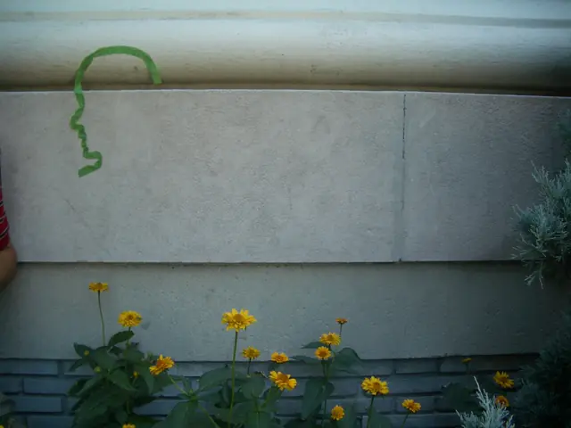 Photograph 6 of 10 of the drawing dedicated to Touri Bolourchi.